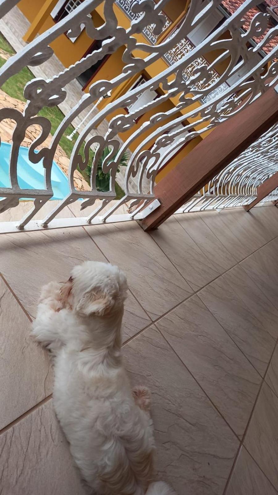 Pousada Prana Bichinho Esterno foto